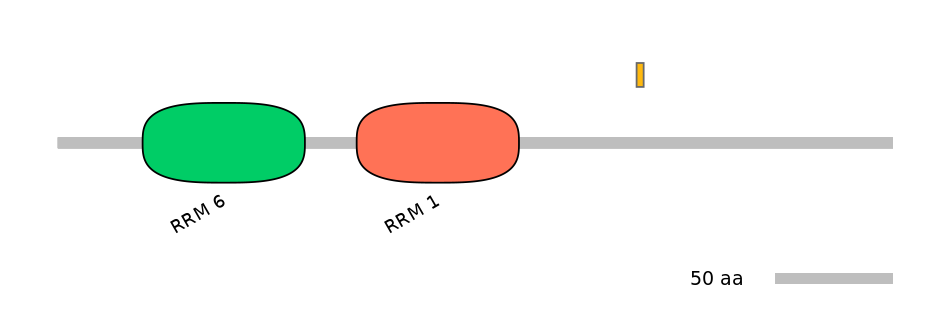 MmuALTD0006696-3_3-EXC