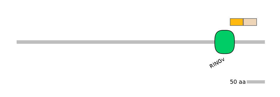 MmuALTD0008218-2_2-EXC