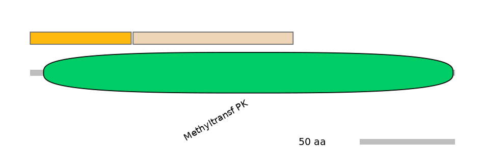 MmuALTD0008444-1_2-EXC