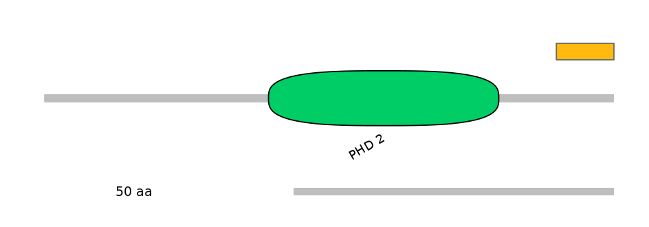 MmuALTD0008601-1_2-INC
