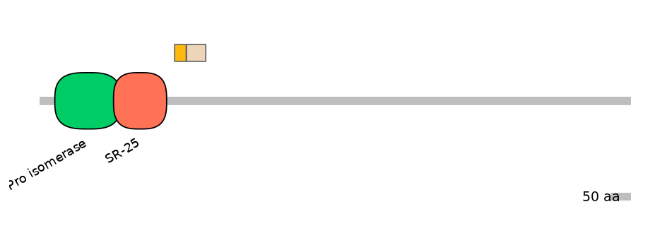 MmuALTD0009399-2_2-EXC