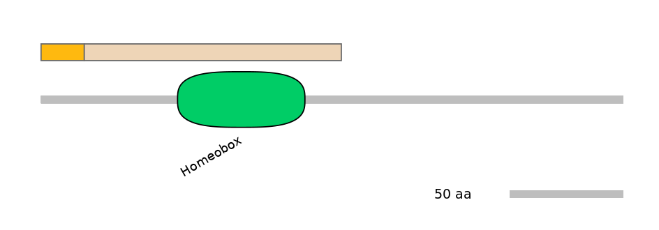 MmuALTD0009401-1_2-EXC