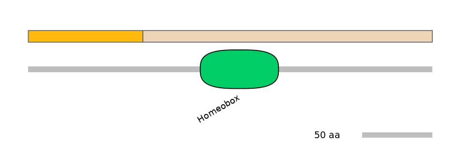 MmuALTD0009401-2_2-EXC