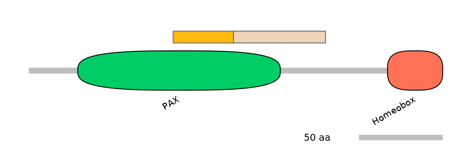 MmuALTD0009965-2_2-EXC