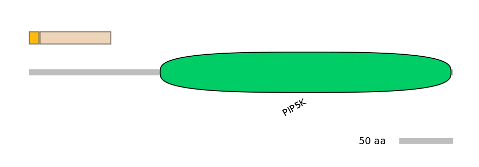 MmuALTD0010389-2_2-EXC