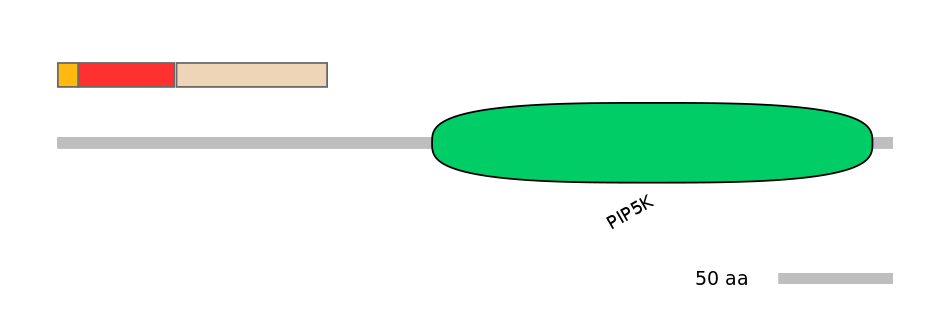 MmuALTD0010389-2_2-INC