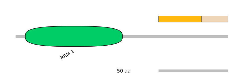 MmuALTD0011654-1_2-EXC