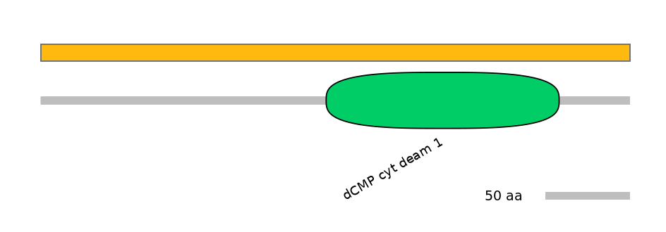 MmuALTD0012423-1_2-EXC