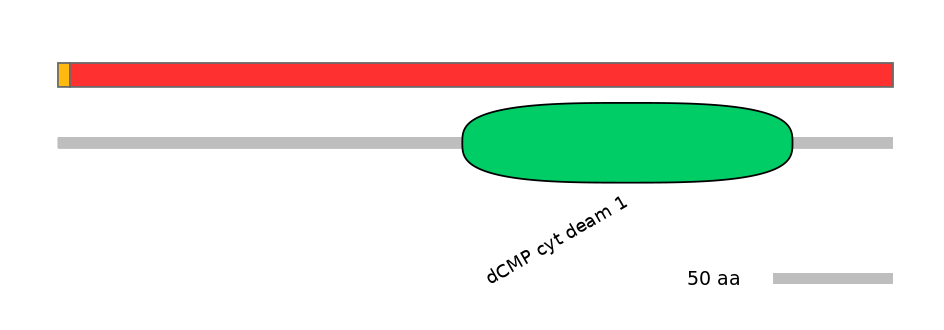 MmuALTD0012423-2_2-EXC