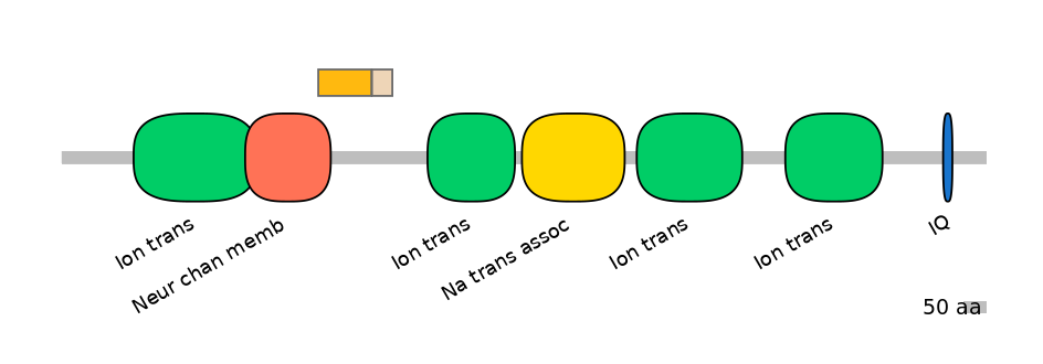 MmuALTD0012450-1_2-INC