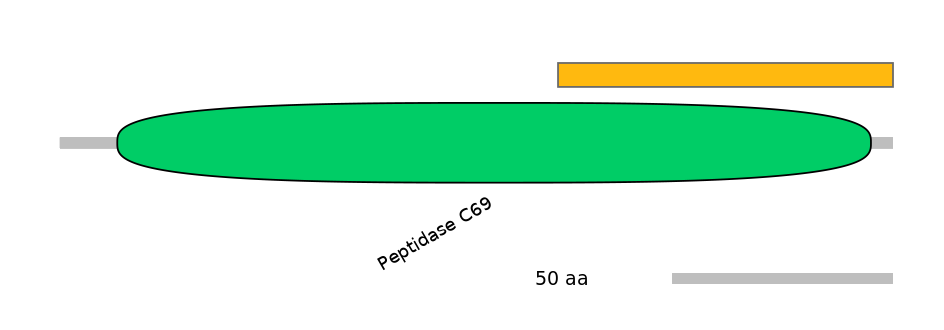 MmuALTD0012474-1_2-EXC
