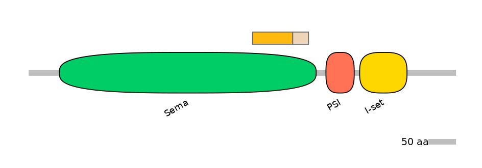 MmuALTD0012568-1_2-EXC