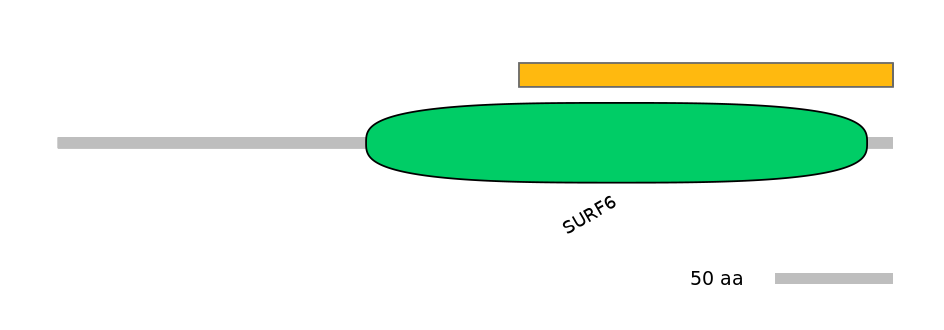 MmuALTD0013862-2_2-EXC