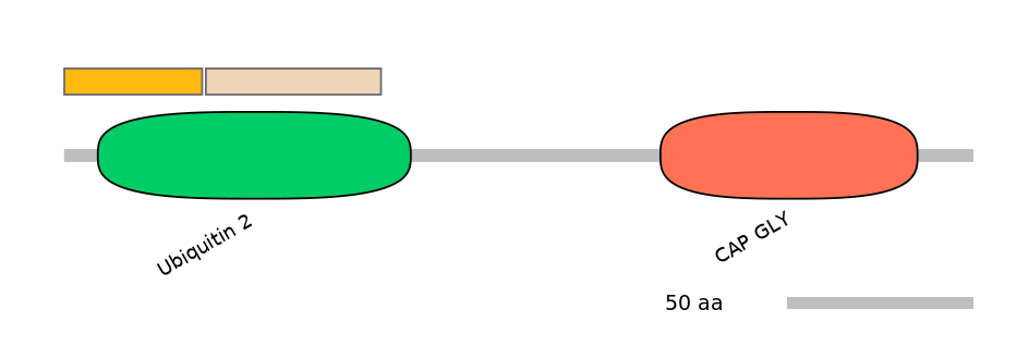 MmuALTD0014043-1_3-INC
