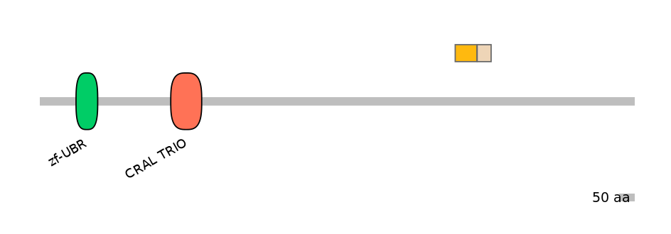 MmuALTD0015182-1_2-EXC