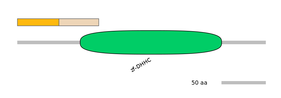 MmuALTD0015985-1_3-EXC