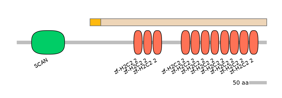 MmuALTD0016046-1_2-EXC