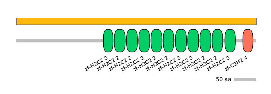 MmuALTD0016093-1_2-EXC