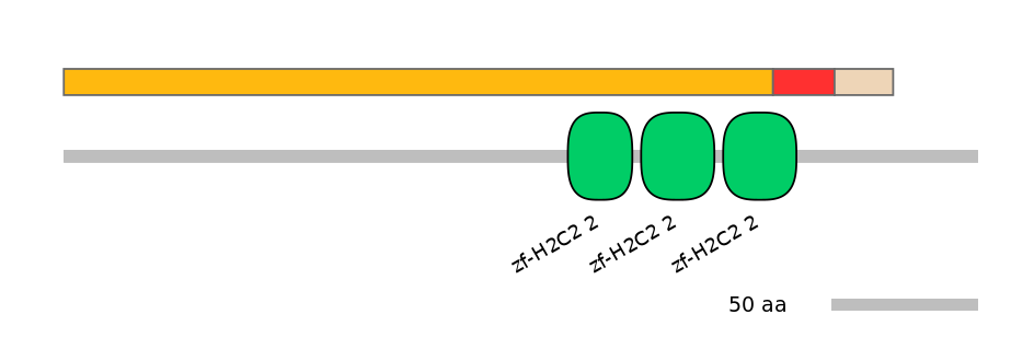 MmuALTD0016093-2_2-INC