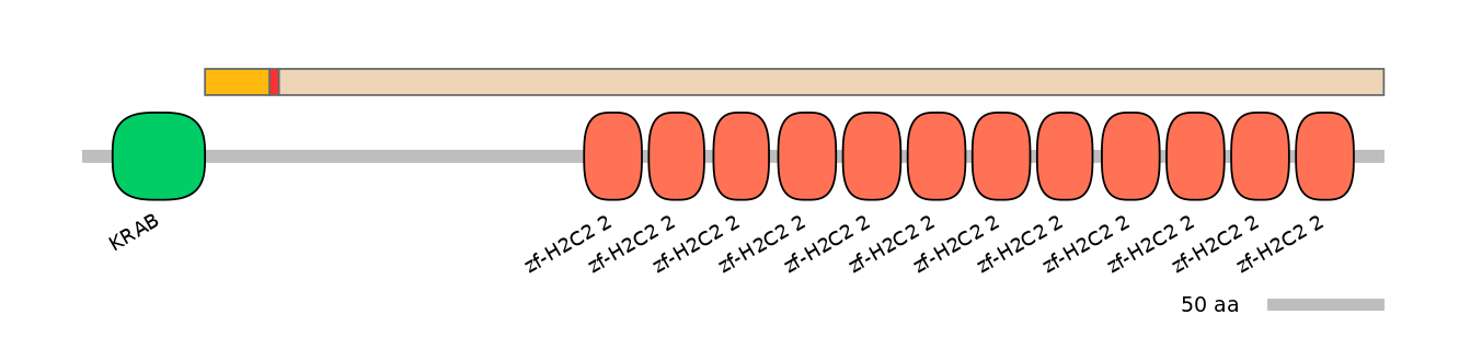 MmuALTD0016265-2_2-INC
