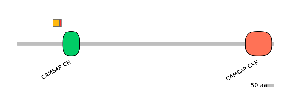 MmuEX0000951-INC