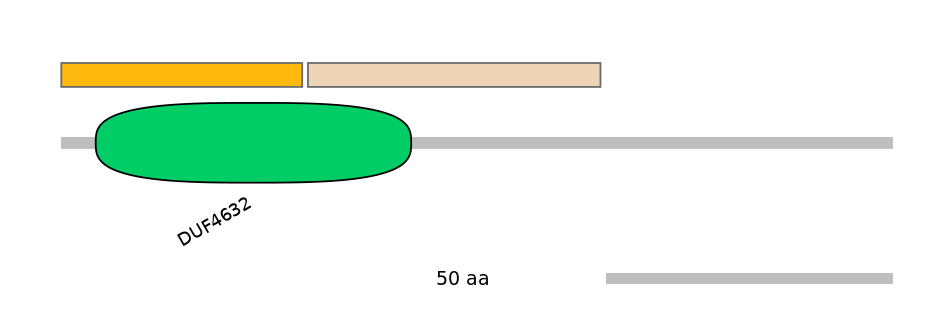 MmuEX0001357-EXC