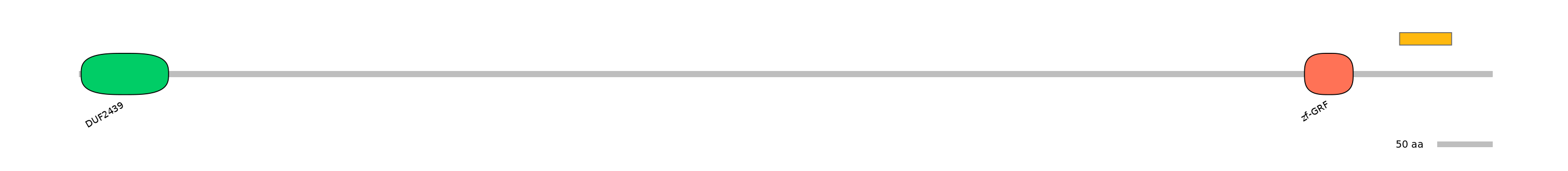 MmuEX0001490-EXC