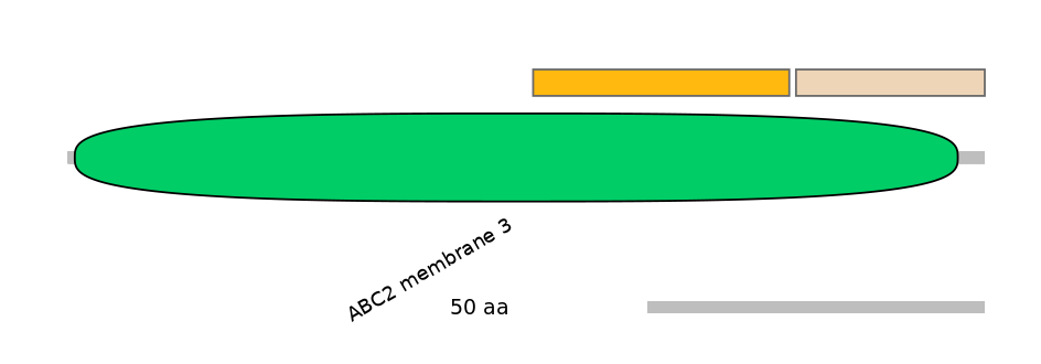 MmuEX0002961-EXC