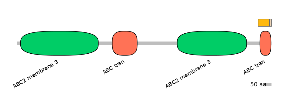 MmuEX0002982-EXC
