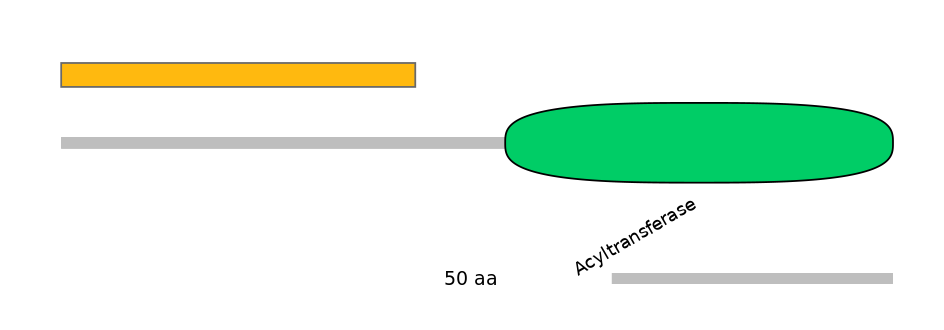 MmuEX0004257-EXC