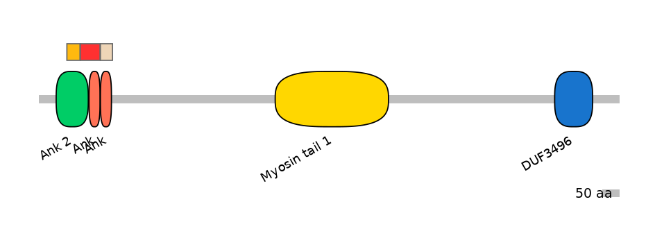 MmuEX0005064-INC