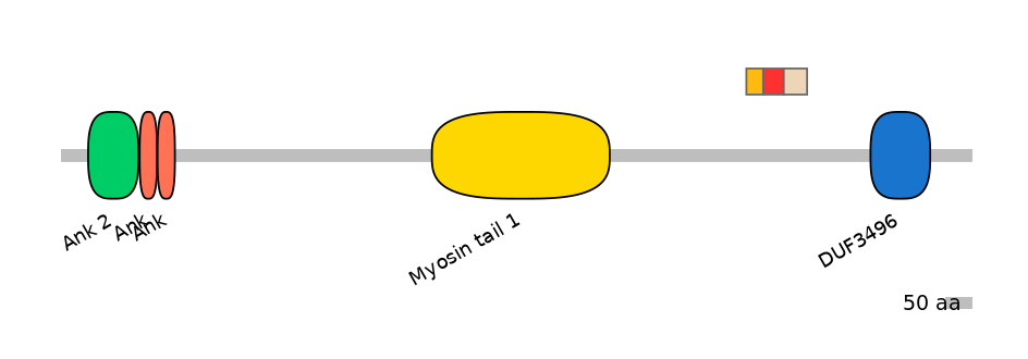 MmuEX0005068-INC