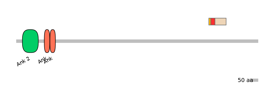 MmuEX0005119-INC