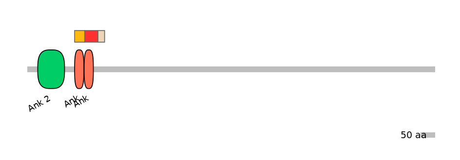 MmuEX0005120-INC