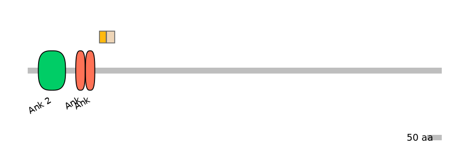 MmuEX0005121-EXC