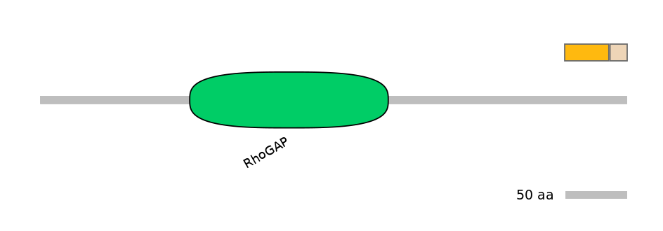 MmuEX0005811-EXC