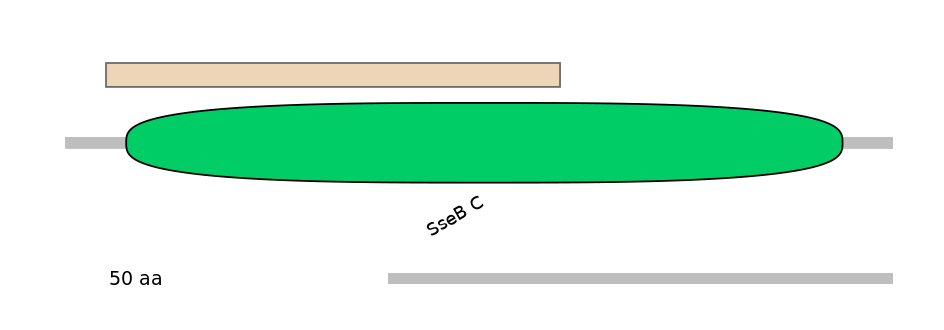 MmuEX0005855-EXC