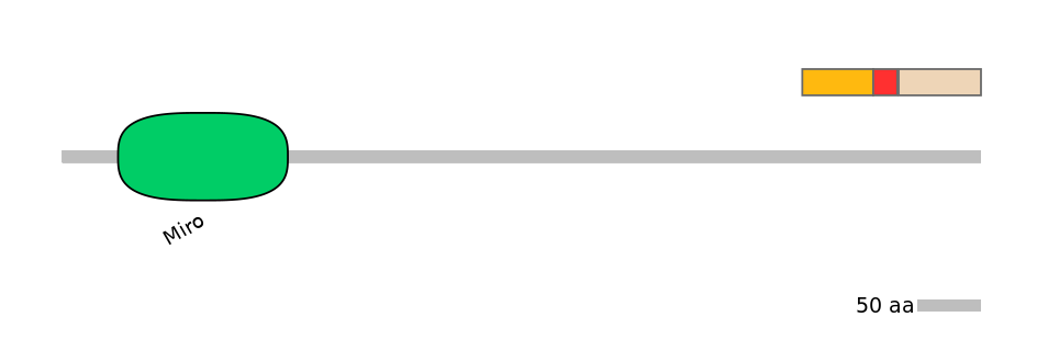 MmuEX0007200-INC