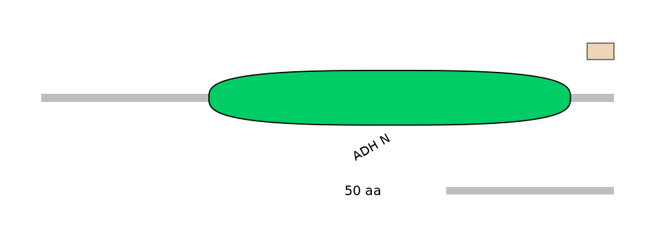 MmuEX0007411-EXC