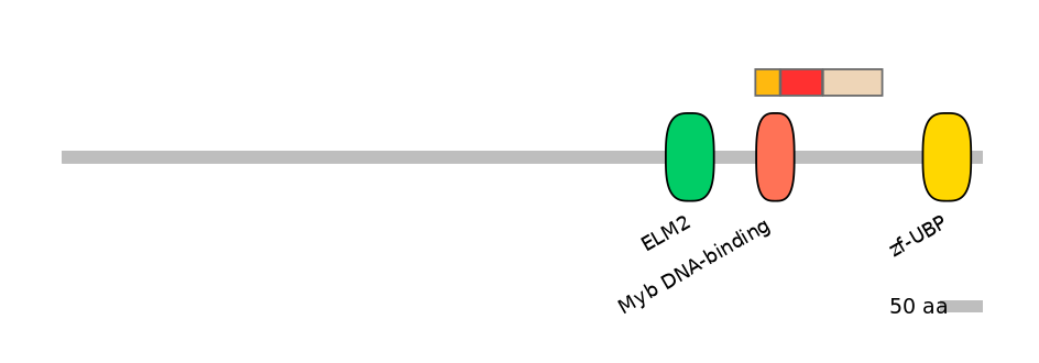 MmuEX0008480-INC