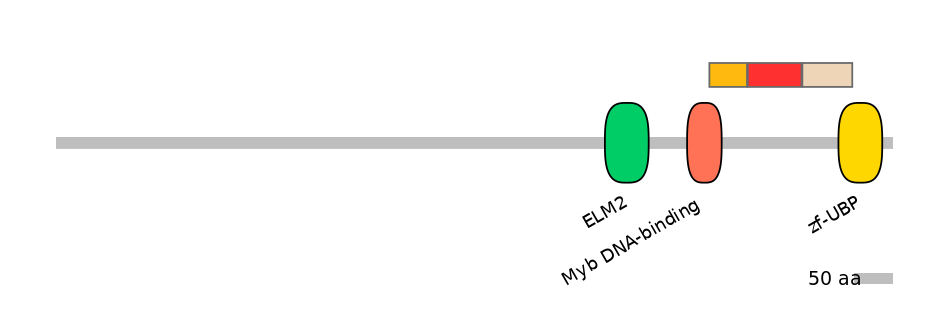 MmuEX0008481-INC
