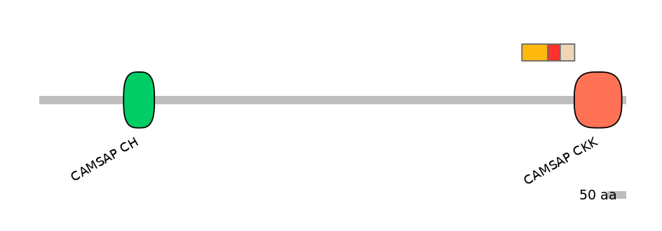 MmuEX0009002-INC