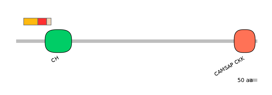 MmuEX0009007-INC