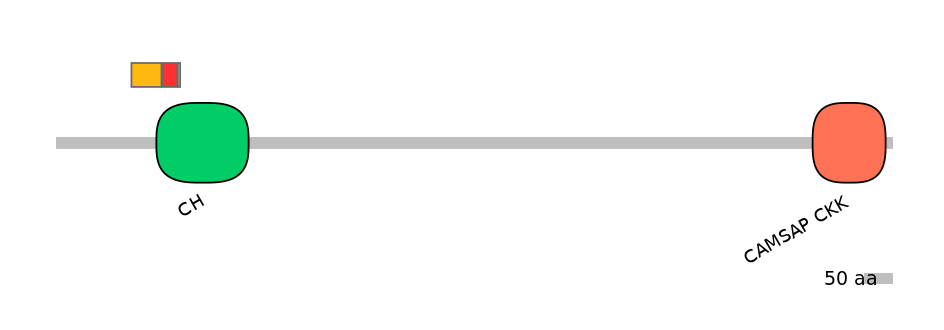 MmuEX0009011-INC