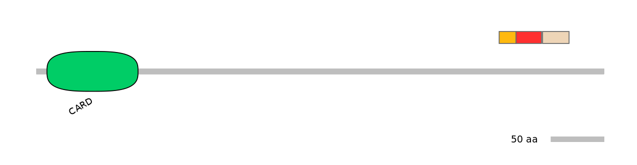 MmuEX0009162-INC