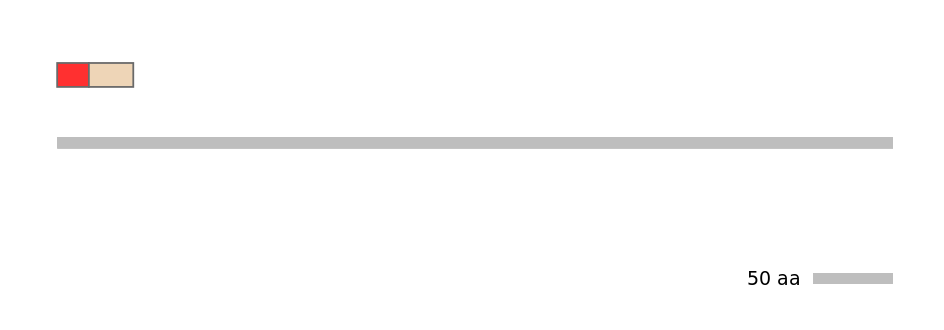 MmuEX0009599-INC