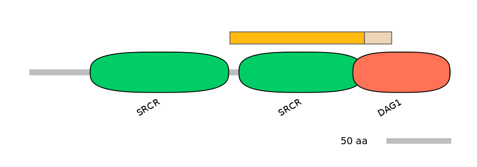 MmuEX0010249-EXC