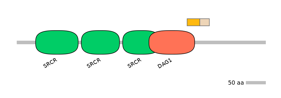 MmuEX0010251-EXC