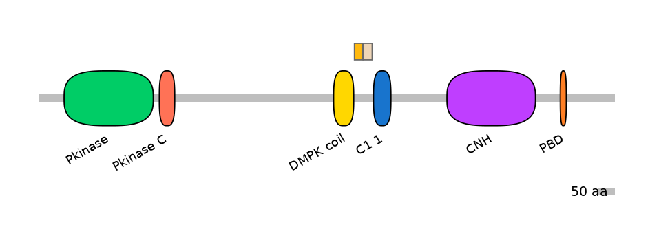 MmuEX0010396-EXC