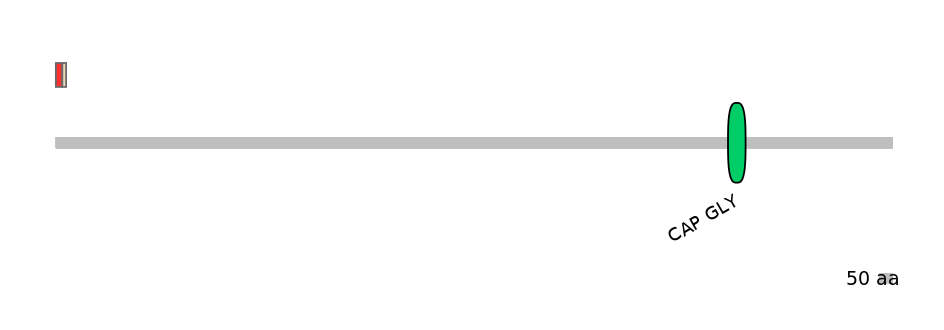 MmuEX0010975-INC
